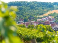 Weinort Beckstein