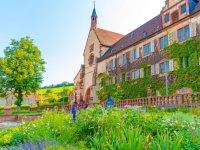 Bronnbach