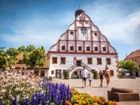 Grimma - Rathaus und Marktplatz