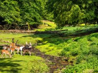 Wildpark Brudergrund