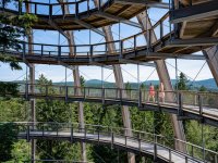 Baumwipfelpfad Bayerischer Wald - Im Turm