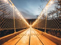 Brücke-Geierlights