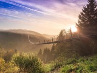 Geierlay Hängeseilbrücke in Mörsdorf
