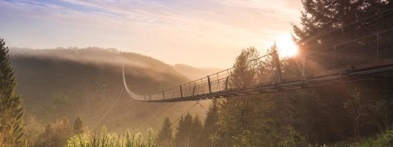 Geierlay Hängeseilbrücke in Mörsdorf