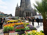 Ulm - Wochenmarkt