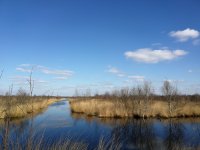 Emsland Moormuseum Hauptinformationszentrum und Moorpforte im Internationalen Naturpark Moor- Veenland Aussichtsplattform am Gee