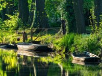 Amt Burg (Spreewald) - Boote am Wasser