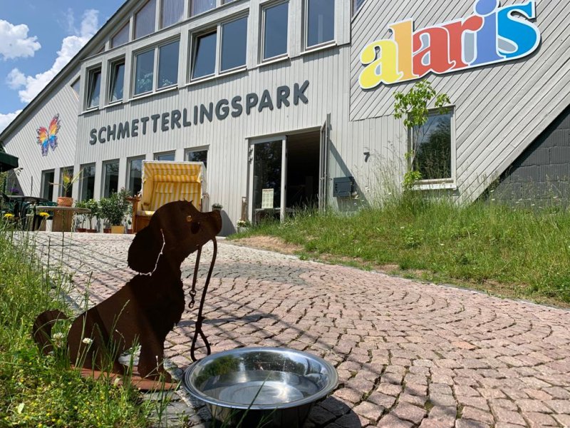 Schmetterlingspark außen