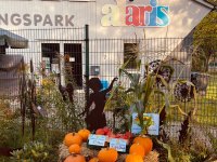 Bio Kürbisse aus Gekas Garten in Vahle