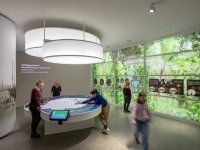 Sensoria Holzminden - Die Ausstellung @Juliane Herrmann