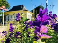 Bad Nenndorf im Frühling erleben - Haus Kassel mit Frühlingsblumen