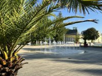 Palmen und Brunnen auf der Promenade