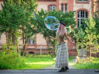 Baum und Zeit - Heilstätten Beelitz