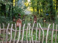 Baum und Zeit - Heilstätten Beelitz