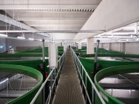 Kaiserzander Porta Westfalica