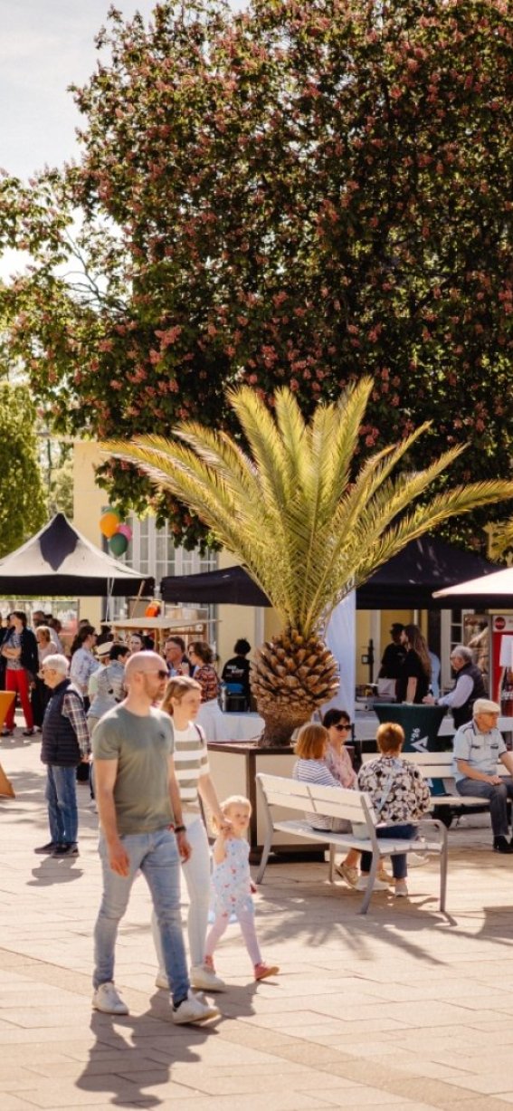 LaGa Countdown Veranstaltung April 2025 (1)