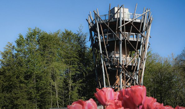 Frühling am Baumwipfelpfad Bad Iburg