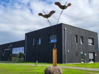 Kranichwelten @Dr. Günter Nowald