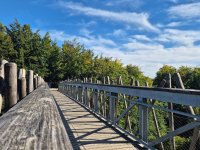 Baumwipfelpfad Bad Iburg