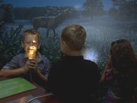 Müritzeum - Nachtraum © Mirko Runge