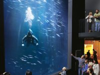 Müritzeum - Aquarium