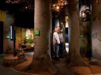 Müritzeum - In den Buchen © Mirko Runge