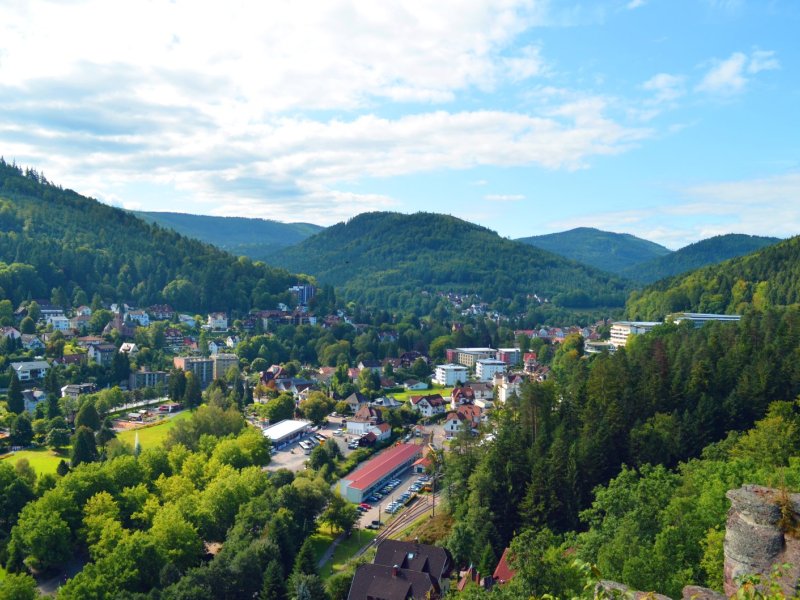 Ausblick vom Falkensteinfelsen ©Rick Eichner
