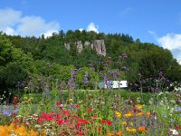 Falkensteinfelsen mit Blumen ©Rick Eichner