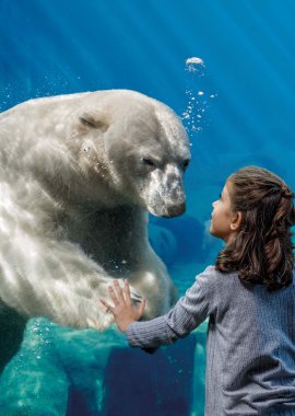 Mädchen und Eisbär, Unterwasser Panorama Yukon Bay