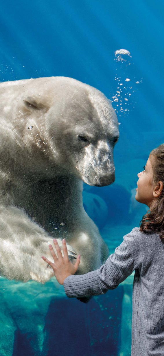 Mädchen und Eisbär, Unterwasser Panorama Yukon Bay