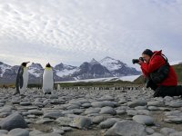 Yadegar Asisi fotografiert Pinguine für Antarktis ©asisi