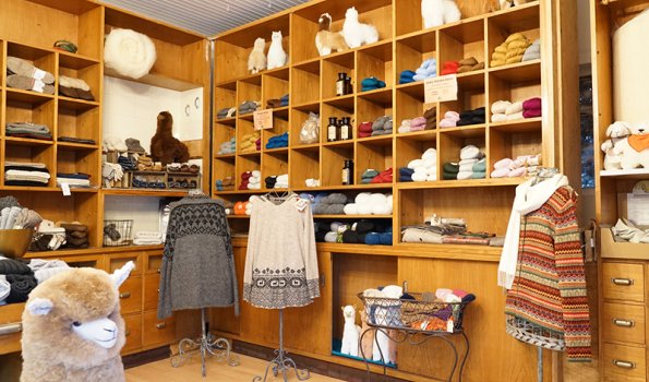 Erlebnishof Löbke - Alpakalädchen