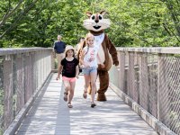 Baumwipfelpfad Saarschleife @eak, Emil Sommer