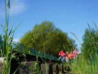 Draisinentour im Pfälzer Bergland