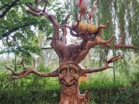 Foret-Cigoland