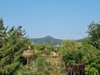 Ambiance-cigoland