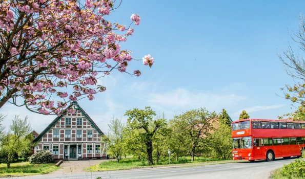 Altländer Blütentour