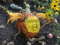 Jucker Farm - Die Welt der Kürbisse