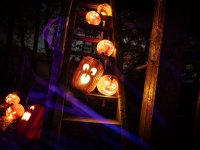 Jucker Farm - Kürbislichter