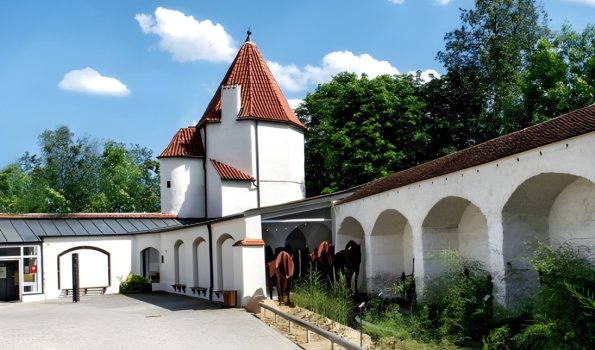 Europäisches Spargelmuseum