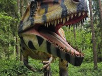 Giganotosaurus