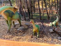 Europasaurus
