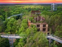 Beelitz-Heilstätten - Baum und Zeit