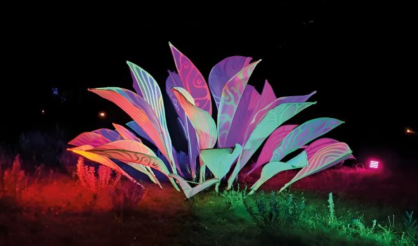 ALIVE - Blume in Bunt
