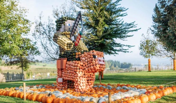 Juckerfarm Kürbisausstellung 