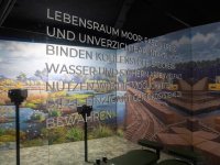 Moorerlebniswelt Bad Driburg