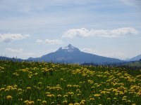 Schöne Ausblicke (16)