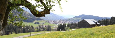 Oberstaufen Frühling