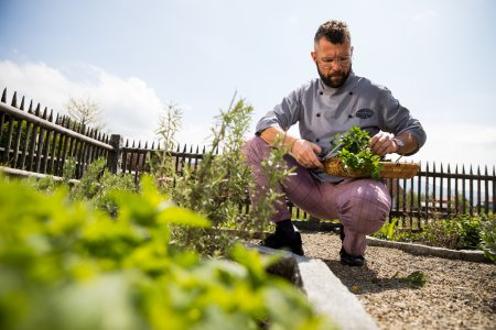 Ein Koch aus Haubers Küchenteam pflückt frische Kräuter für das Abendmenü des Gourmet-Hotels.