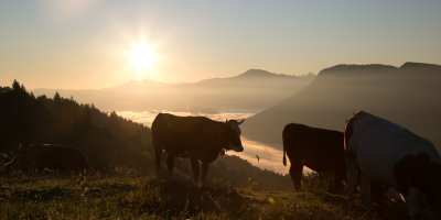 Sonnenaufgang Sep 2020-50